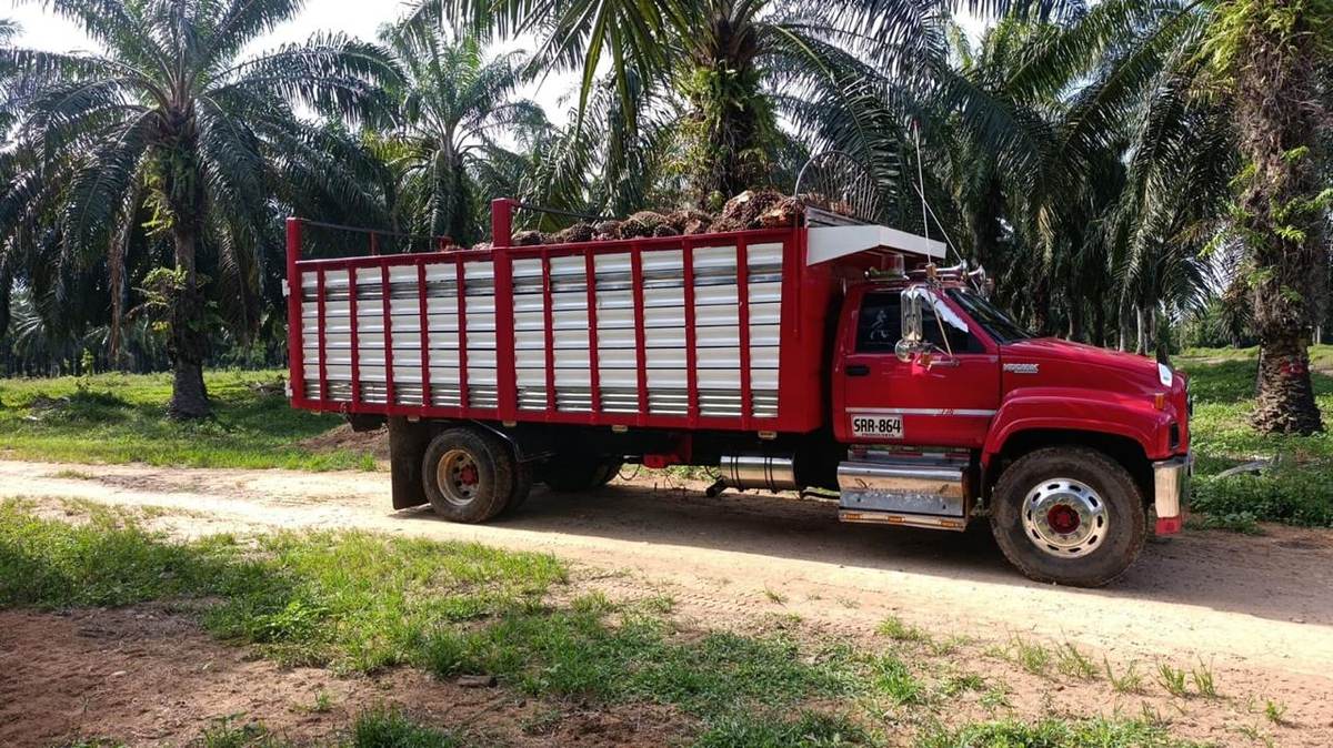 Camión cargado de fruto en la plantación