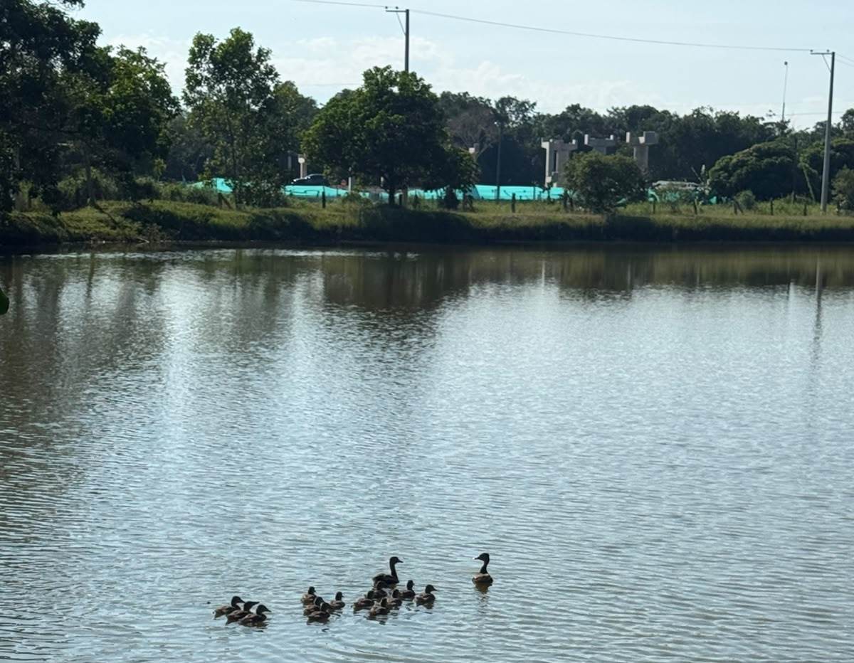 Cuerpo de agua dentro de la zona de influencia
