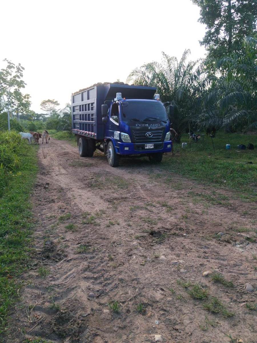Camión de transporte en una vía de la plantación